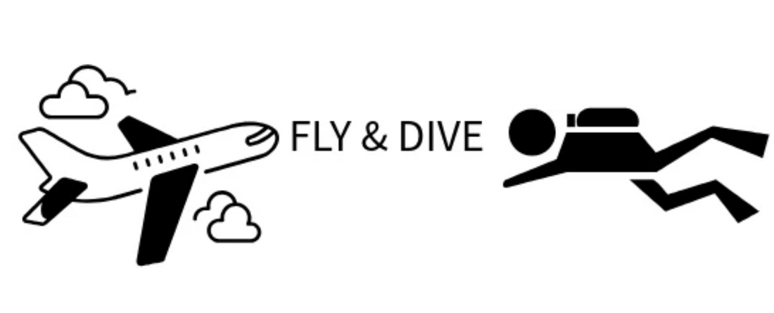 The Ultimate PTB Travel Guide for Smooth Flying